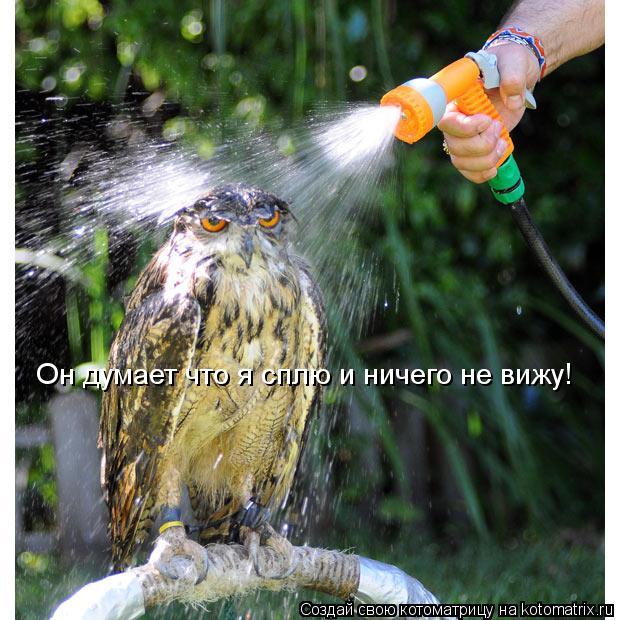 Котоматрица: Он думает что я сплю и ничего не вижу!