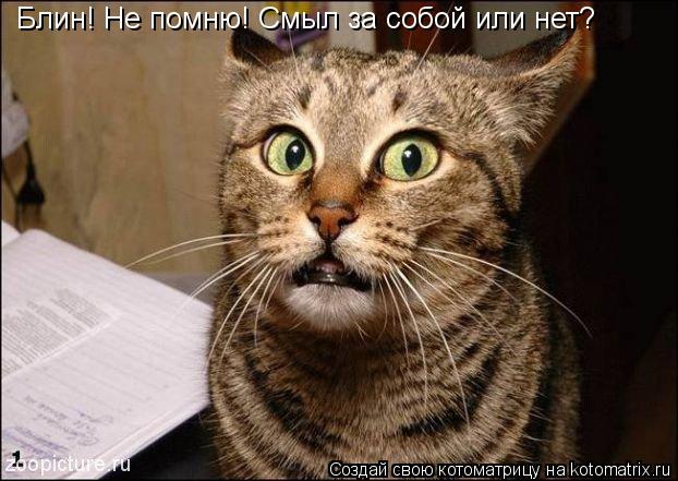 Котоматрица: Блин! Не помню! Смыл за собой или нет?