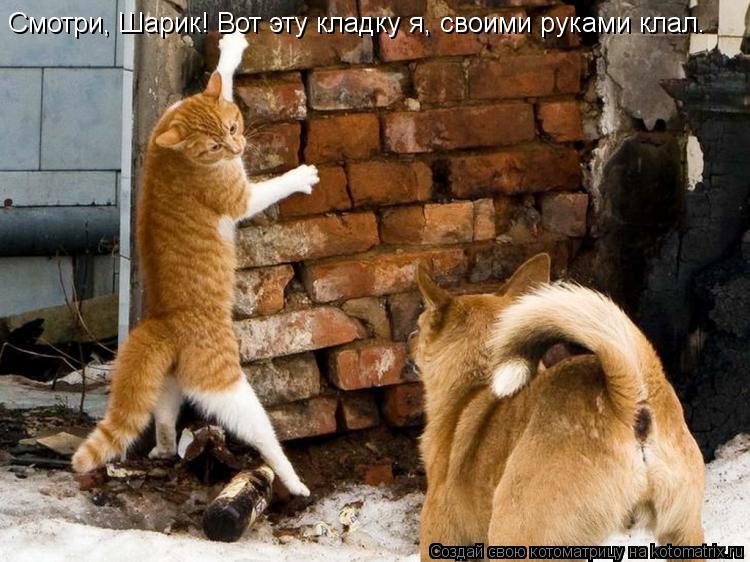 Котоматрица: Смотри, Шарик! Вот эту кладку я, своими руками клал.