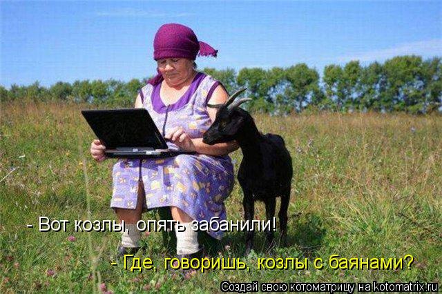 Котоматрица: - Вот козлы, опять забанили! - Где, говоришь, козлы с баянами?