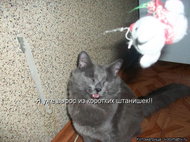 Котоматрица: -Я уже вырос из коротких штанишек!!