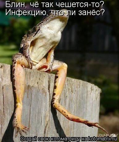 Котоматрица: Блин, чё так чешется-то? Инфекцию, что ли занёс?