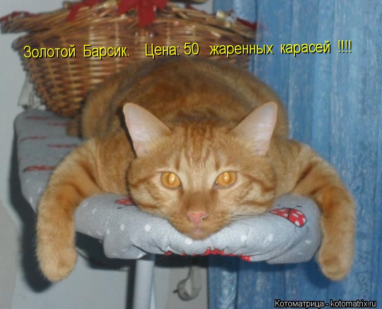Котоматрица: Золотой  Барсик.    Цена: 50   жаренных  карасей  !!!!