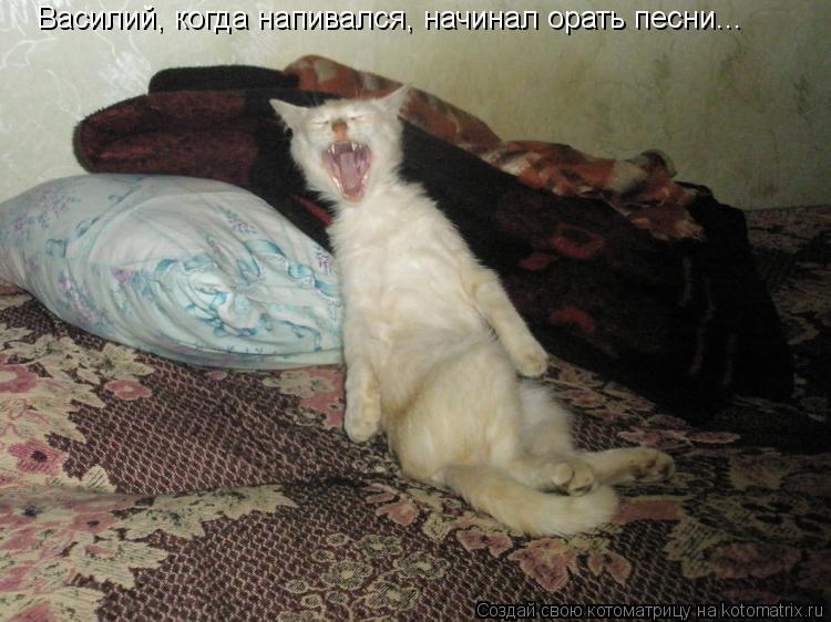 Котоматрица: Василий, когда напивался, начинал орать песни...