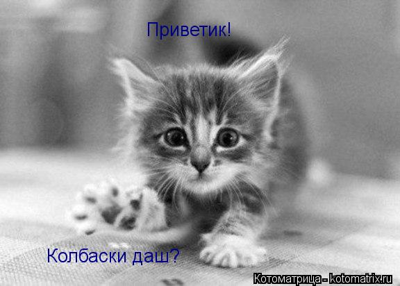 Котоматрица: Приветик! Колбаски даш?