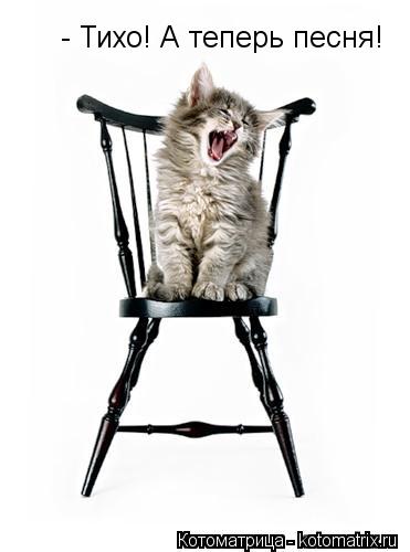 Котоматрица: - Тихо! А теперь песня!