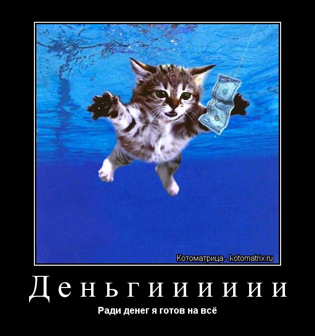Котоматрица: Деньгииииии Ради денег я готов на всё