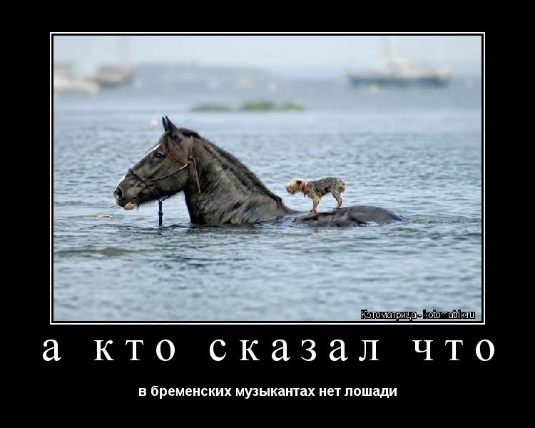Котоматрица: а кто сказал что в бременских музыкантах нет лошади