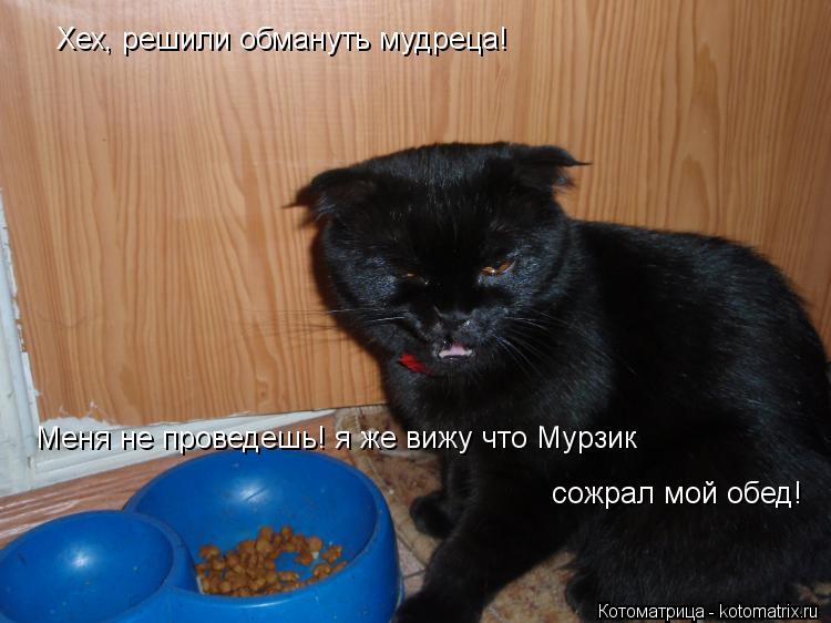 Котоматрица: Хех, решили обмануть мудреца! Меня не проведешь! я же вижу что Мурзик  сожрал мой обед!