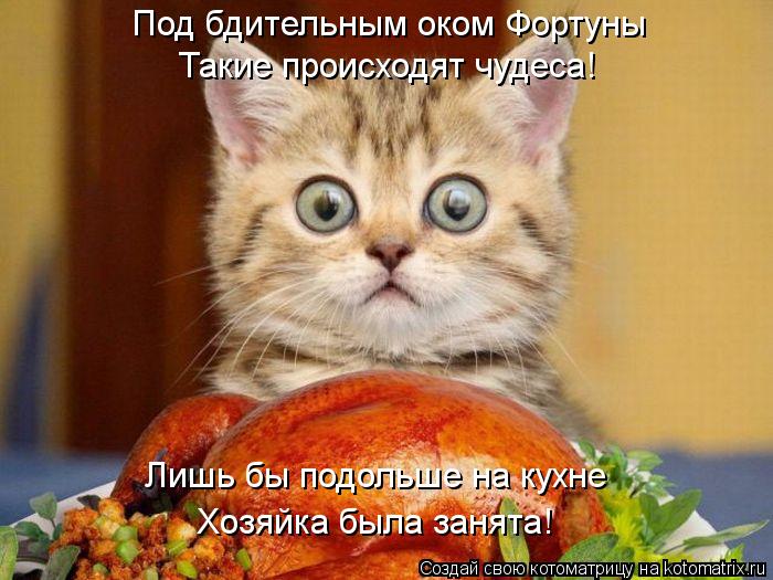 Котоматрица: Под бдительным оком Фортуны Такие происходят чудеса! Лишь бы подольше на кухне Хозяйка была занята!