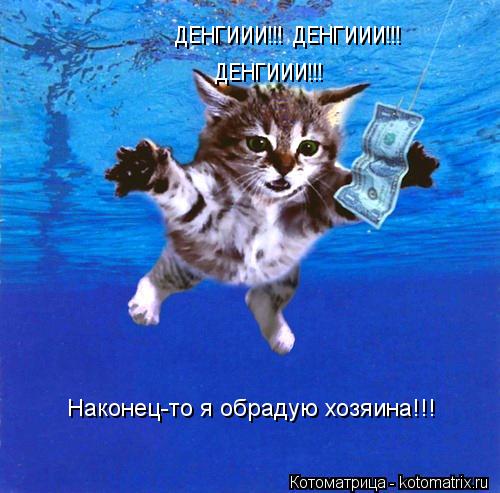 Котоматрица: ДЕНГИИИ!!! ДЕНГИИИ!!! ДЕНГИИИ!!! Наконец-то я обрадую хозяина!!!