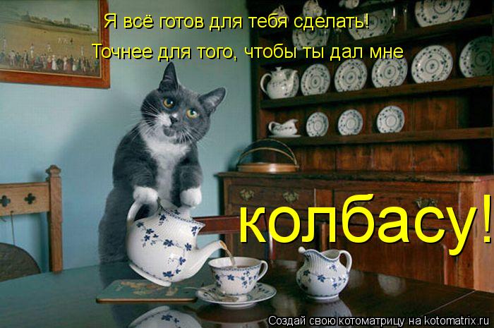 Котоматрица: Я всё готов для тебя сделать! Точнее для того, чтобы ты дал мне колбасу!