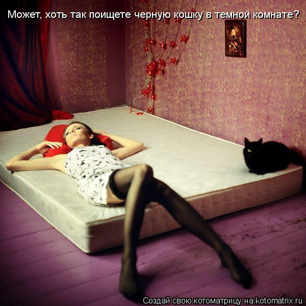 Котоматрица: Может, хоть так поищете черную кошку в темной комнате?