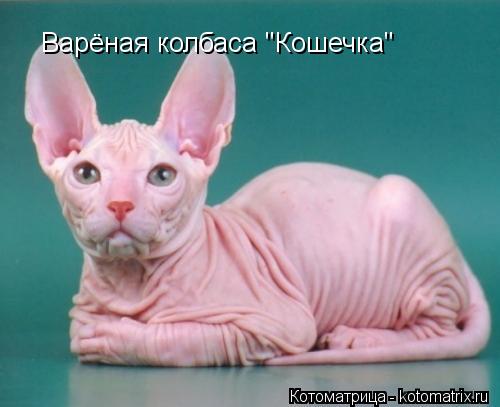 Котоматрица: Варёная колбаса "Кошечка"