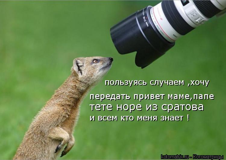 Котоматрица: пользуясь случаем ,хочу передать привет маме,папе тете норе из сратова и всем кто меня знает !