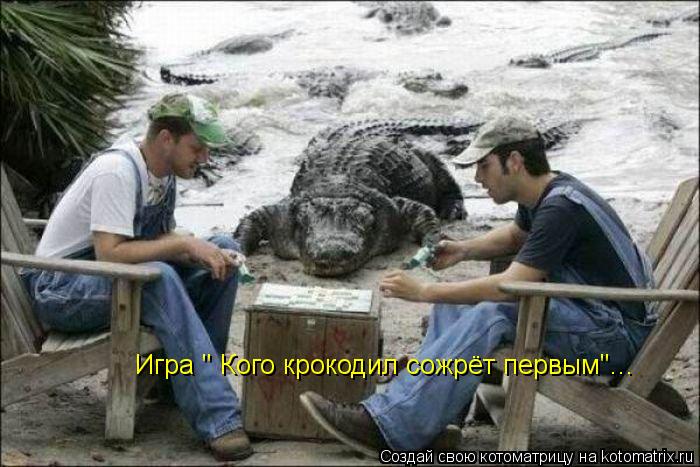 Котоматрица: Игра " Кого крокодил сожрёт первым"...