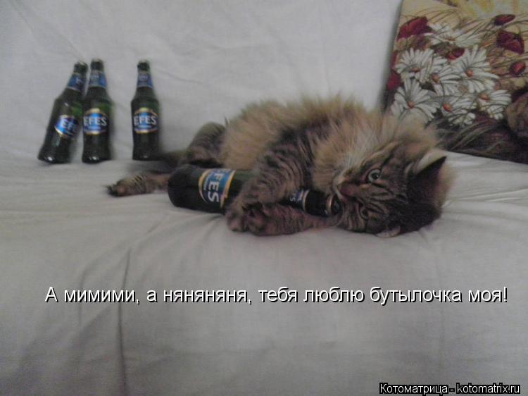 Котоматрица: А мимими, а няняняня, тебя люблю бутылочка моя!