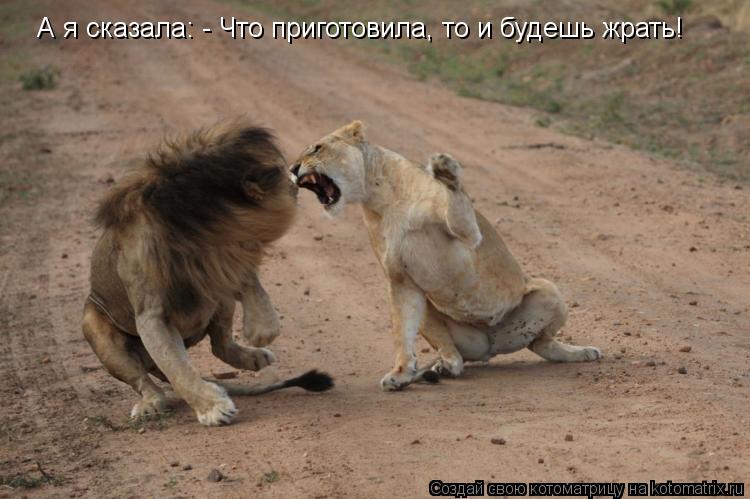 Котоматрица: А я сказала: - Что приготовила, то и будешь жрать!