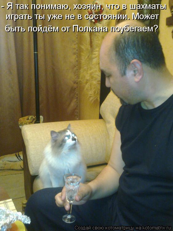Котоматрица: - Я так понимаю, хозяин, что в шахматы играть ты уже не в состоянии. Может быть пойдём от Полкана поубегаем?
