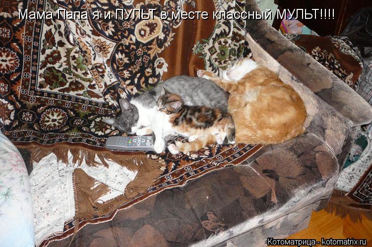 Котоматрица: Мама Папа я и ПУЛЬТ в месте классный МУЛЬТ!!!!