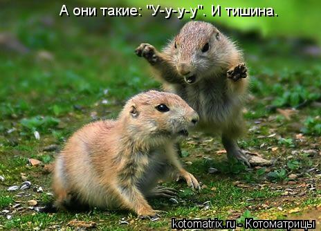Котоматрица: А они такие: "У-у-у-у". И тишина.