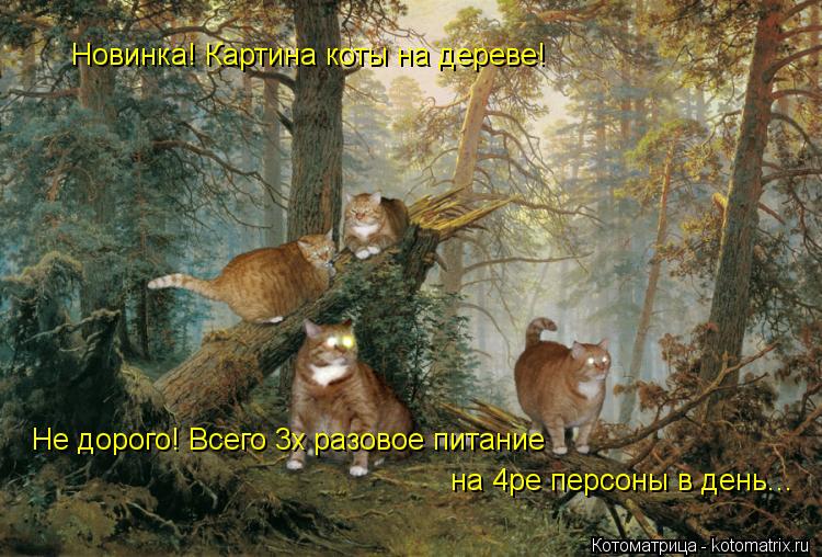 Котоматрица: Новинка! Картина коты на дереве! Не дорого! Всего 3х разовое питание  на 4ре персоны в день...