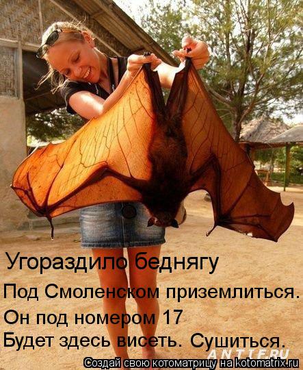 Котоматрица: Угораздило беднягу  Под Смоленском приземлиться. Он под номером 17 Будет здесь висеть. Сушиться.