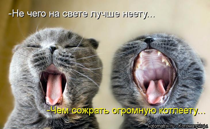 Котоматрица: -Не чего на свете лучше неету... -Чем сожрать огромную котлеету...