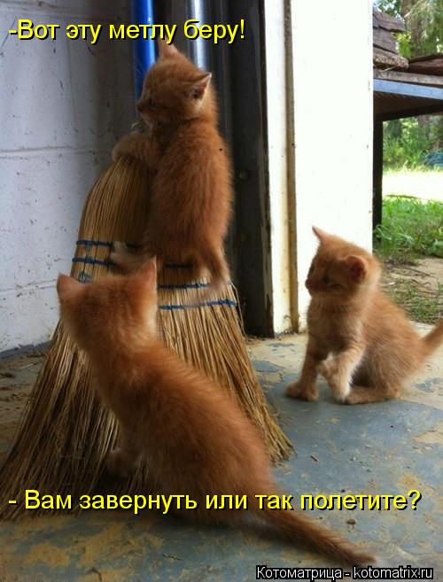 Котоматрица: -Вот эту метлу беру! - Вам завернуть или так полетите?