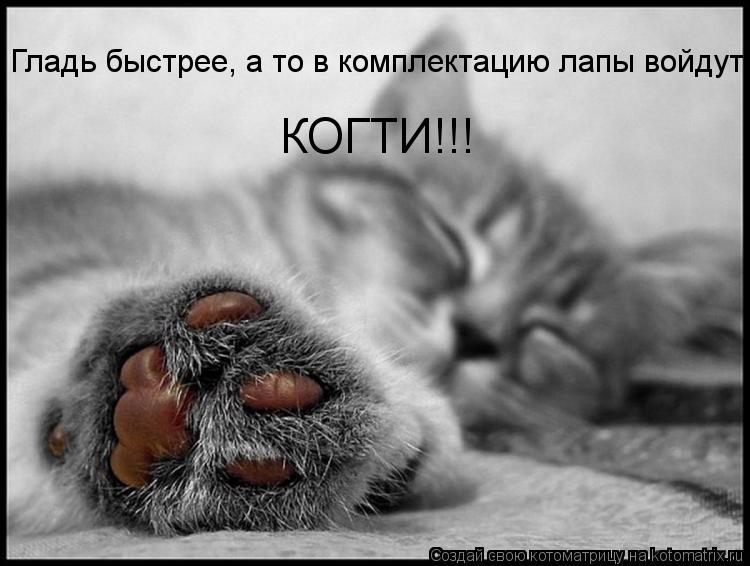 Котоматрица: Гладь быстрее, а то в комплектацию лапы войдут КОГТИ!!!