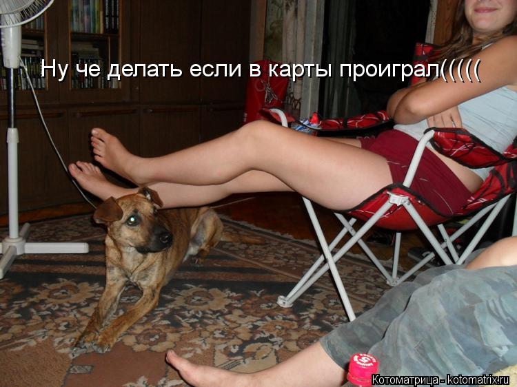 Котоматрица: Ну че делать если в карты проиграл(((((