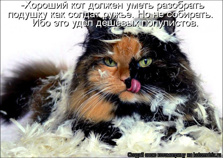 Котоматрица: -Хороший кот должен уметь разобрать подушку как солдат ружье. Но не собирать. Ибо это удел дешевых популистов.