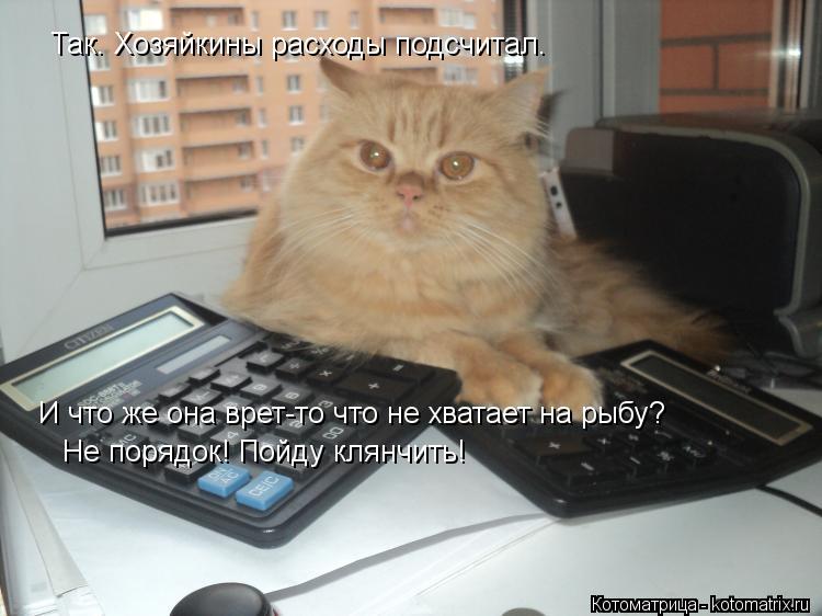 Котоматрица: Так. Хозяйкины расходы подсчитал.  И что же она врет-то что не хватает на рыбу? Не порядок! Пойду клянчить!