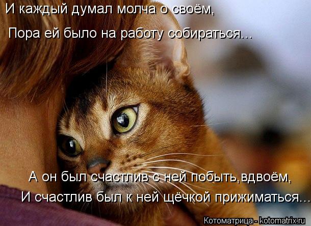 Котоматрица: И каждый думал молча о своём, И счастлив был к ней щёчкой прижиматься... Пора ей было на работу собираться... А он был счастлив с ней побыть,вдв