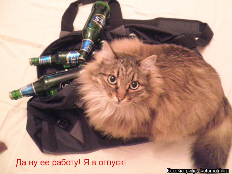 Котоматрица: Да ну ее работу! Я в отпуск!