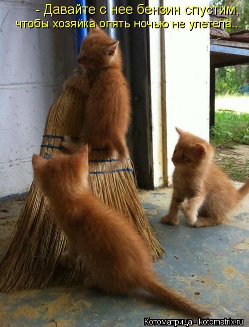 Котоматрица: - Давайте с нее бензин спустим, чтобы хозяйка опять ночью не улетела...