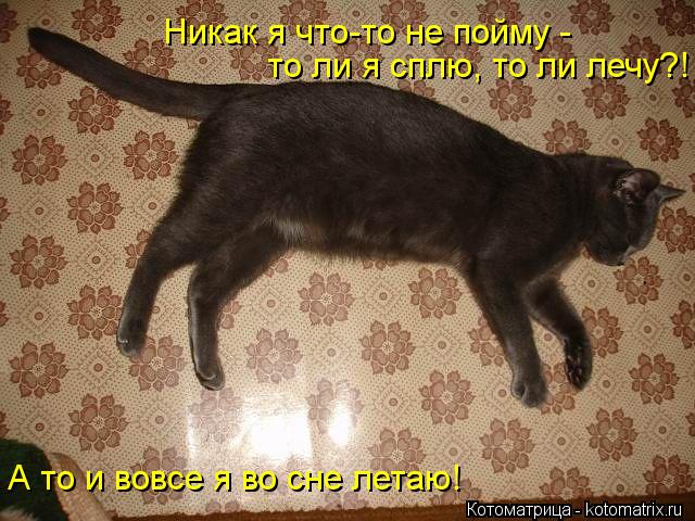 Котоматрица: Никак я что-то не пойму -  то ли я сплю, то ли лечу?! А то и вовсе я во сне летаю!