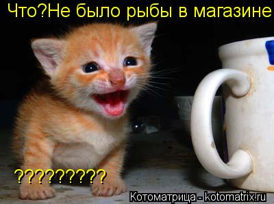 Котоматрица: Что?Не было рыбы в магазине ?????????