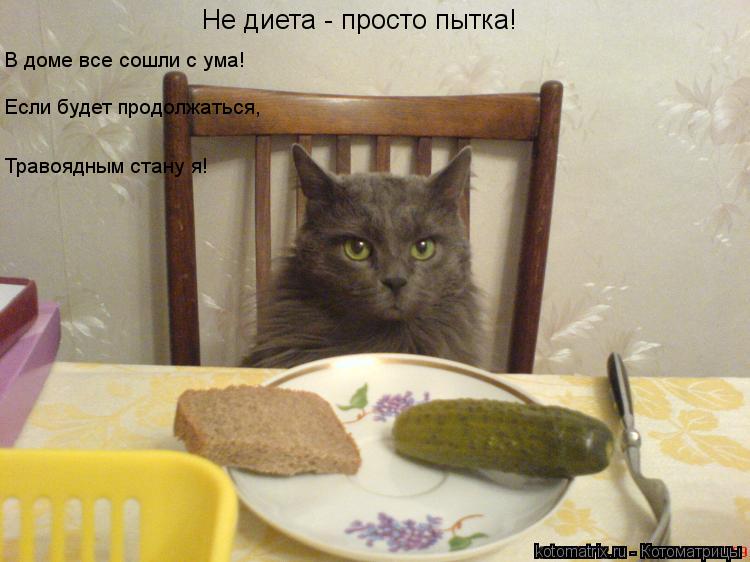 Котоматрица: Не диета - просто пытка! В доме все сошли с ума! Если будет продолжаться, Травоядным стану я!