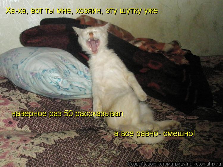 Котоматрица: Ха-ха, вот ты мне, хозяин, эту шутку уже наверное раз 50 рассказывал, а все равно- смешно!