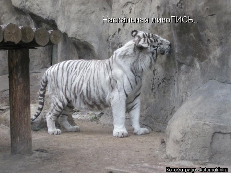 Котоматрица: Наскальная живоПИСЬ..