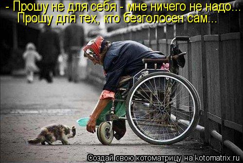 - Прошу не для себя - мне ничего не надо... Прошу для тех, кто безголосен сам...... Котоматрица: - Прошу не для себя - мне ничего не надо... Прошу для тех, кто безголосен сам...