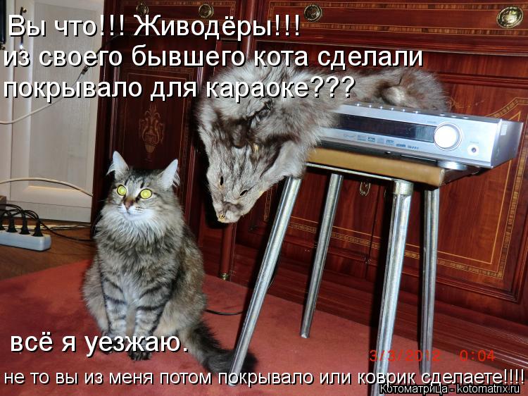 Котоматрица: Вы что!!! Живодёры!!! из своего бывшего кота сделали покрывало для караоке??? всё я уезжаю. не то вы из меня потом покрывало или коврик сделаете