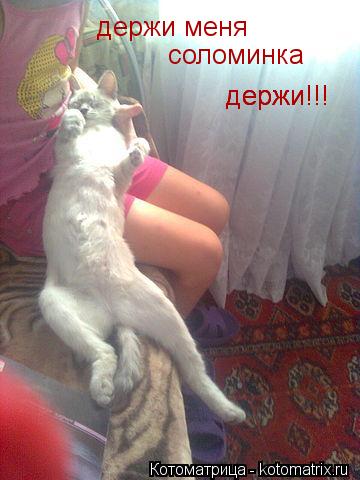 Котоматрица: держи меня соломинка держи!!! держи!!! держи!!!