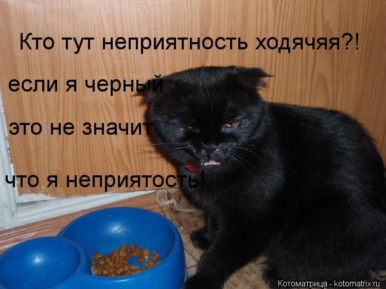 Котоматрица: Кто тут неприятность ходячяя?! если я черный это не значит что я неприятость!