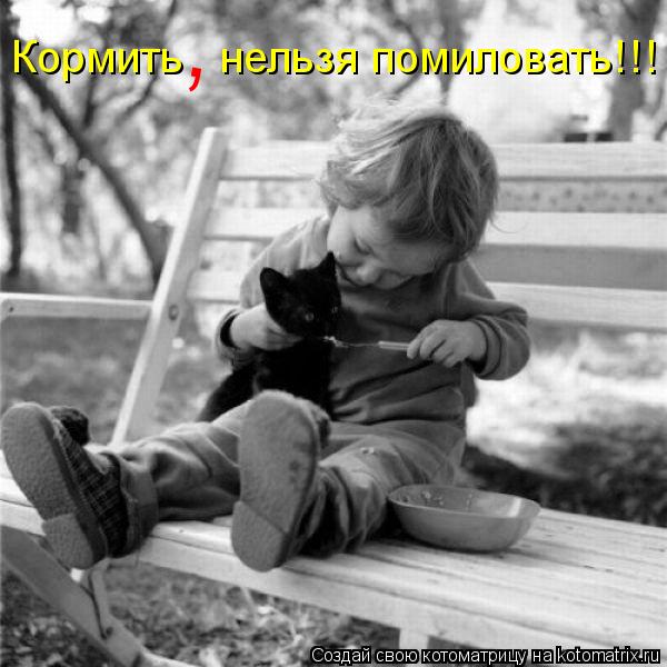 Котоматрица: Кормить   нельзя помиловать!!! ,