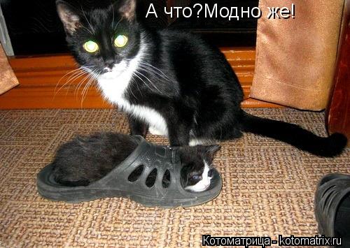 Котоматрица: А что?Модно же!