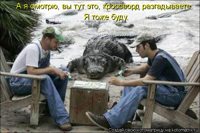 Котоматрица: А я смотрю, вы тут это, кроссворд разгадываете. Я тоже буду.