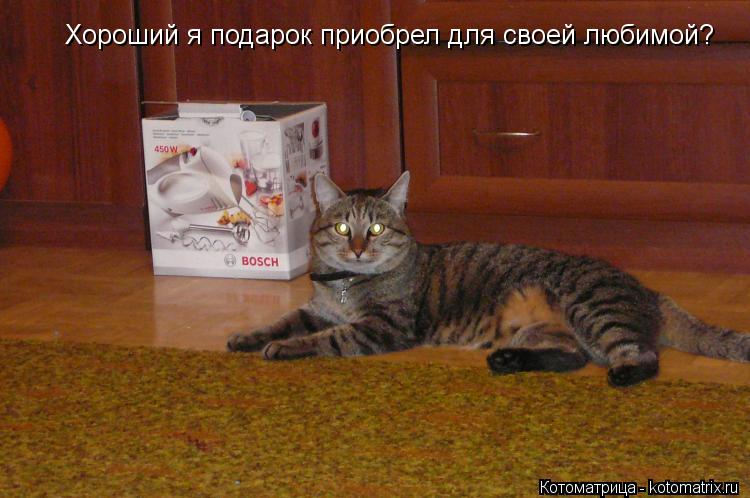 Котоматрица: Хороший я подарок приобрел для своей любимой?