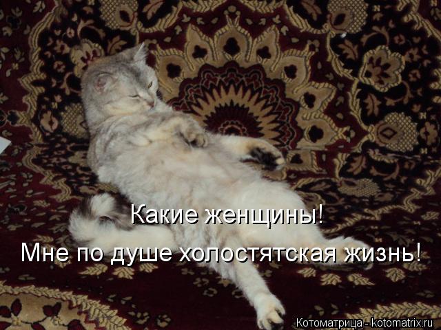 Котоматрица: какие женщины! Мне по душе холостятская жизнь Какие женщины! Мне по душе холостятская жизнь!